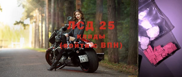 кокс Гусев