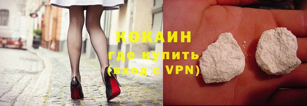 кокс Гусев