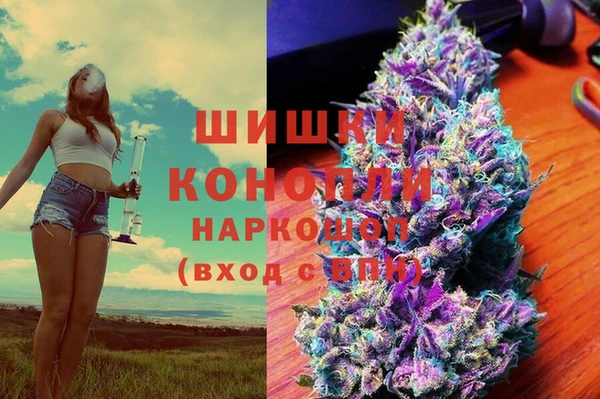 кристаллы Гусь-Хрустальный