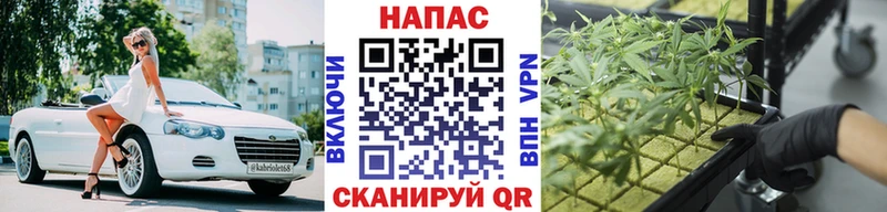Бошки марихуана марихуана Октябрьск